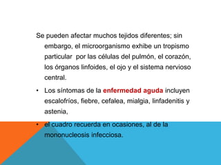 Se pueden afectar muchos tejidos diferentes; sin
embargo, el microorganismo exhibe un tropismo
particular por las células del pulmón, el corazón,
los órganos linfoides, el ojo y el sistema nervioso
central.
• Los síntomas de la enfermedad aguda incluyen
escalofríos, fiebre, cefalea, mialgia, linfadenitis y
astenia,
• el cuadro recuerda en ocasiones, al de la
mononucleosis infecciosa.
 