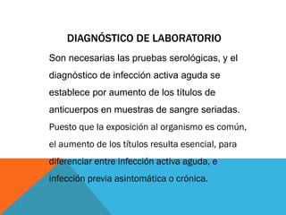 DIAGNÓSTICO DE LABORATORIO
Son necesarias las pruebas serológicas, y el
diagnóstico de infección activa aguda se
establece por aumento de los títulos de
anticuerpos en muestras de sangre seriadas.
Puesto que la exposición al organismo es común,
el aumento de los títulos resulta esencial, para
diferenciar entre infección activa aguda, e
infección previa asintomática o crónica.
 