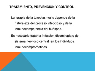 TRATAMIENTO, PREVENCIÓN Y CONTROL
La terapia de la toxoplasmosis depende de la
naturaleza del proceso infeccioso y de la
inmunocompetencia del huésped.
Es necesario tratar la infección diseminada o del
sistema nervioso central en los individuos
inmunocomprometidos.
 