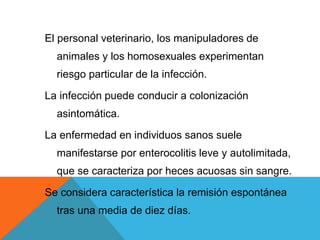El personal veterinario, los manipuladores de
animales y los homosexuales experimentan
riesgo particular de la infección.
La infección puede conducir a colonización
asintomática.
La enfermedad en individuos sanos suele
manifestarse por enterocolitis leve y autolimitada,
que se caracteriza por heces acuosas sin sangre.
Se considera característica la remisión espontánea
tras una media de diez días.
 