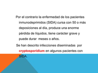 Por el contrario la enfermedad de los pacientes
inmunodeprimidos (SIDA) cursa con 50 o más
deposiciones al día, produce una enorme
pérdida de líquidos, tiene carácter grave y
puede durar meses o años.
Se han descrito infecciones diseminadas por
cryptosporidium en algunos pacientes con
SIDA.
 