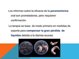 Los informes sobre la eficacia de la paramomicina
oral son prometedores, pero requieren
confirmación.
La terapia se basa de modo primario en medidas de
soporte para compensar la gran pérdida de
líquidos debida a la diarrea acuosa.
 