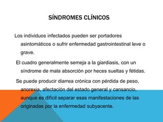 SÍNDROMES CLÍNICOS
Los individuos infectados pueden ser portadores
asintomáticos o sufrir enfermedad gastrointestinal leve o
grave.
El cuadro generalmente semeja a la giardiasis, con un
síndrome de mala absorción por heces sueltas y fétidas.
Se puede producir diarrea crónica con pérdida de peso,
anorexia, afectación del estado general y cansancio,
aunque es difícil separar esas manifestaciones de las
originadas por la enfermedad subyacente.
 