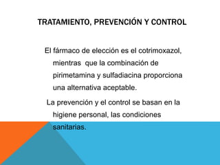 TRATAMIENTO, PREVENCIÓN Y CONTROL
El fármaco de elección es el cotrimoxazol,
mientras que la combinación de
pirimetamina y sulfadiacina proporciona
una alternativa aceptable.
La prevención y el control se basan en la
higiene personal, las condiciones
sanitarias.
 