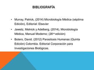 BIBLIOGRAFÍA
• Murray, Patrick, (2014) Microbiología Médica (séptima
Edición), Editorial: Elsevier
• Jawetz, Melnick y Adelberg, (2014), Microbiología
Médica, Manual Moderno; (26va edición)
• Botero, David. (2012) Parasitosis Humanas (Quinta
Edición) Colombia. Editorial Corporación para
Investigaciones Biológicas.
 