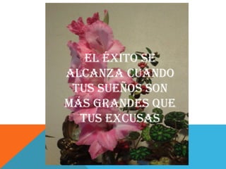 El éxito SE
ALCANZA cuando
tus sueños son
mÁs grandes que
tus excusas
 