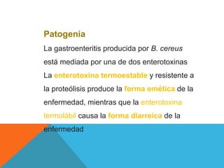 Patogenia
La gastroenteritis producida por B. cereus
está mediada por una de dos enterotoxinas
La enterotoxina termoestable y resistente a
la proteólisis produce la forma emética de la
enfermedad, mientras que la enterotoxina
termolábil causa la forma diarreica de la
enfermedad
 