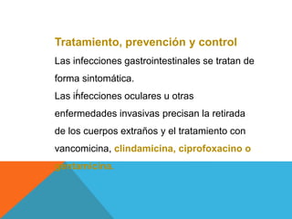 (
Tratamiento, prevención y control
Las infecciones gastrointestinales se tratan de
forma sintomática.
Las infecciones oculares u otras
enfermedades invasivas precisan la retirada
de los cuerpos extraños y el tratamiento con
vancomicina, clindamicina, ciprofoxacino o
gentamicina.
 
