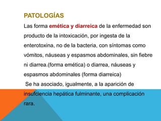 PATOLOGÍAS
Las forma emética y diarreica de la enfermedad son
producto de la intoxicación, por ingesta de la
enterotoxina, no de la bacteria, con síntomas como
vómitos, náuseas y espasmos abdominales, sin fiebre
ni diarrea.(forma emética) o diarrea, náuseas y
espasmos abdominales (forma diarreica)
Se ha asociado, igualmente, a la aparición de
insufciencia hepática fulminante, una complicación
rara.
 