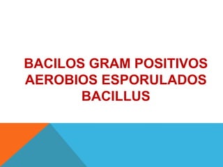 BACILOS GRAM POSITIVOS
AEROBIOS ESPORULADOS
BACILLUS
 