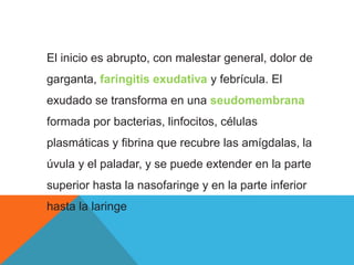El inicio es abrupto, con malestar general, dolor de
garganta, faringitis exudativa y febrícula. El
exudado se transforma en una seudomembrana
formada por bacterias, linfocitos, células
plasmáticas y fibrina que recubre las amígdalas, la
úvula y el paladar, y se puede extender en la parte
superior hasta la nasofaringe y en la parte inferior
hasta la laringe
 
