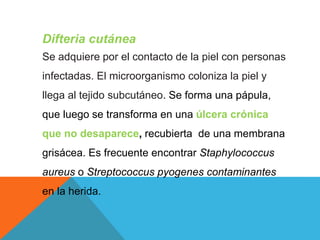 Difteria cutánea
Se adquiere por el contacto de la piel con personas
infectadas. El microorganismo coloniza la piel y
llega al tejido subcutáneo. Se forma una pápula,
que luego se transforma en una úlcera crónica
que no desaparece, recubierta de una membrana
grisácea. Es frecuente encontrar Staphylococcus
aureus o Streptococcus pyogenes contaminantes
en la herida.
 