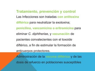 Tratamiento, prevención y control
Las Infecciones son tratadas con antitoxina
diftérica para neutralizar la exotoxina;
penicilina, vancomicina o eritromicina para
eliminar C. diphtheriae, y vacunación de
pacientes convalecientes con el toxoide
diftérico, a fin de estimular la formación de
anticuerpos protectores.
Administración de la vacuna diftérica y de las
dosis de refuerzo en poblaciones susceptibles
 