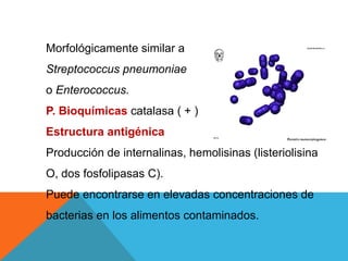 Morfológicamente similar a
Streptococcus pneumoniae
o Enterococcus.
P. Bioquímicas catalasa ( + )
Estructura antigénica
Producción de internalinas, hemolisinas (listeriolisina
O, dos fosfolipasas C).
Puede encontrarse en elevadas concentraciones de
bacterias en los alimentos contaminados.
 