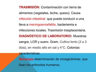 TRASMISIÓN: Contaminación con tierra de
alimentos (vegetales, leche, queso). Causa
infección intestinal que puede conducir a una
lleva a meningoencefalitis, bacteriemia e
infecciones locales. Trasmisión trasplacentaria.
DIAGNÓSTICO DE LABORATORIO: Muestras
sangre, LCR y suero. Gram. Cultivo lento (2 a 3
días), en medio alto en sal y 4°C. Colonias
características.
Serología determinación de crioaglutininas. que
lisan los eritrocitos humanos.
 