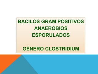 BACILOS GRAM POSITIVOS
ANAEROBIOS
ESPORULADOS
GÉNERO CLOSTRIDIUM
 