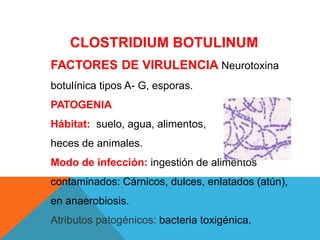 CLOSTRIDIUM BOTULINUM
FACTORES DE VIRULENCIA Neurotoxina
botulínica tipos A- G, esporas.
PATOGENIA
Hábitat: suelo, agua, alimentos,
heces de animales.
Modo de infección: ingestión de alimentos
contaminados: Cárnicos, dulces, enlatados (atún),
en anaerobiosis.
Atributos patogénicos: bacteria toxigénica.
 