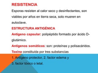 RESISTENCIA
Esporas resisten al calor seco y desinfectantes, son
viables por años en tierra seca, solo mueren en
autoclave.
ESTRUCTURA ANTIGÉNICA
Antígeno capsular: polipéptido formado por ácido D-
glutámico.
Antígenos somáticos: son: proteínas y polisacáridos.
Toxina constituida por tres substancias
1. Antígeno protector, 2. factor edema y
3. factor tóxico o letal.
 