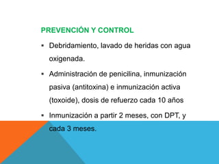 PREVENCIÓN Y CONTROL
 Debridamiento, lavado de heridas con agua
oxigenada.
 Administración de penicilina, inmunización
pasiva (antitoxina) e inmunización activa
(toxoide), dosis de refuerzo cada 10 años
 Inmunización a partir 2 meses, con DPT, y
cada 3 meses.
 
