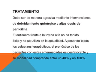 TRATAMIENTO
Debe ser de manera agresiva mediante intervenciones
de debridamiento quirúrgico y altas dosis de
penicilina.
El antisuero frente a la toxina alfa no ha tenido
éxito y no se utiliza en la actualidad. A pesar de todos
los esfuerzos terapéuticos, el pronóstico de los
pacientes con estas enfermedades es desfavorable y
su mortalidad comprende entre un 40% y un 100%.
 