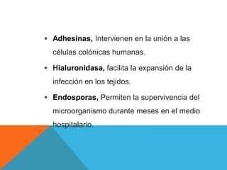  Adhesinas, Intervienen en la unión a las
células colónicas humanas.
 Hialuronidasa, facilita la expansión de la
infección en los tejidos.
 Endosporas, Permiten la supervivencia del
microorganismo durante meses en el medio
hospitalario.
 