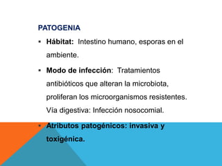 PATOGENIA
 Hábitat: Intestino humano, esporas en el
ambiente.
 Modo de infección: Tratamientos
antibióticos que alteran la microbiota,
proliferan los microorganismos resistentes.
Vía digestiva: Infección nosocomial.
 Atributos patogénicos: invasiva y
toxigénica.
 