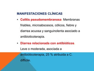 MANIFESTACIONES CLÍNICAS
 Colitis pseudomembranosa. Membranas
friables, microabscesos, cólicos, fiebre y
diarrea acuosa y sanguinolenta asociado a
antibioticoterapia.
 Diarrea relacionada con antibióticos.
Leve o moderada, asociada a
antibióticoterapia, 25 % atribuida a C.
difficile.
 