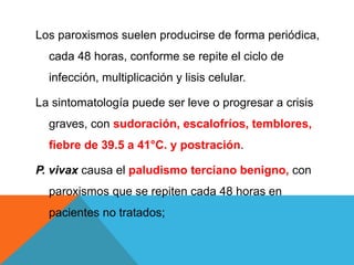 Los paroxismos suelen producirse de forma periódica,
cada 48 horas, conforme se repite el ciclo de
infección, multiplicación y lisis celular.
La sintomatología puede ser leve o progresar a crisis
graves, con sudoración, escalofríos, temblores,
fiebre de 39.5 a 41°C. y postración.
P. vivax causa el paludismo terciano benigno, con
paroxismos que se repiten cada 48 horas en
pacientes no tratados;
 
