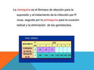 La cloroquina es el fármaco de elección para la
supresión y el tratamiento de la infección por P.
vivax, seguida por la primaquina para la curación
radical y la eliminación de los gametocitos.
 
