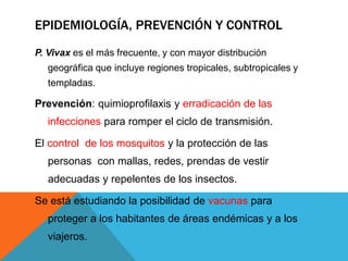 EPIDEMIOLOGÍA, PREVENCIÓN Y CONTROL
P. Vivax es el más frecuente, y con mayor distribución
geográfica que incluye regiones tropicales, subtropicales y
templadas.
Prevención: quimioprofilaxis y erradicación de las
infecciones para romper el ciclo de transmisión.
El control de los mosquitos y la protección de las
personas con mallas, redes, prendas de vestir
adecuadas y repelentes de los insectos.
Se está estudiando la posibilidad de vacunas para
proteger a los habitantes de áreas endémicas y a los
viajeros.
 
