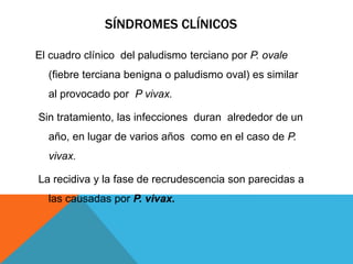 SÍNDROMES CLÍNICOS
El cuadro clínico del paludismo terciano por P. ovale
(fiebre terciana benigna o paludismo oval) es similar
al provocado por P vivax.
Sin tratamiento, las infecciones duran alrededor de un
año, en lugar de varios años como en el caso de P.
vivax.
La recidiva y la fase de recrudescencia son parecidas a
las causadas por P. vivax.
 