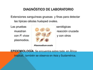 DIAGNÓSTICO DE LABORATORIO
Extensiones sanguíneas gruesas y finas para detectar
las típicas células huésped ovales.
Las pruebas serológicas
muestran reacción cruzada
con P. vivax y con otros
plasmodios.
EPIDEMIOLOGÍA: Se encuentra sobre todo en África
tropical, también se observa en Asia y Sudamérica.
 
