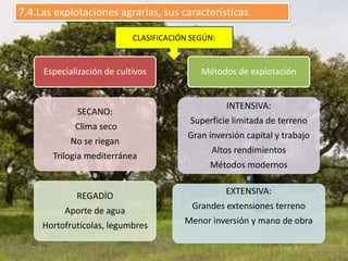 CLASIFICACIÓN SEGÚN:
Especialización de cultivos
SECANO:
Clima seco
No se riegan
Trilogía mediterránea
REGADÍO
Aporte de a...