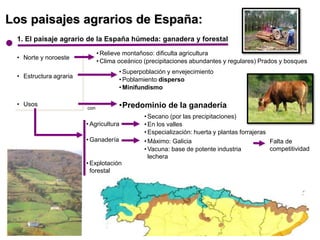 Los paisajes agrarios de España:
• Norte y noroeste
• Estructura agraria
• Usos
1. El paisaje agrario de la España húmeda:...