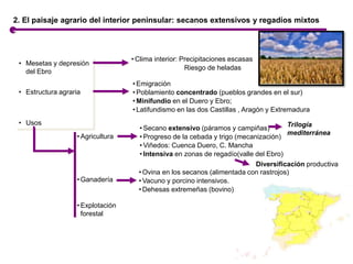 • Mesetas y depresión
del Ebro
• Estructura agraria
• Usos
2. El paisaje agrario del interior peninsular: secanos extensiv...