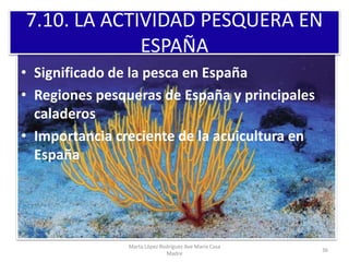 7.10. LA ACTIVIDAD PESQUERA EN
ESPAÑA
• Significado de la pesca en España
• Regiones pesqueras de España y principales
cal...
