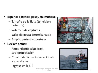 • España: potencia pesquera mundial:
– Tamaño de la flota (tonelaje y
potencia)
– Volumen de capturas
– Valor de pesca des...