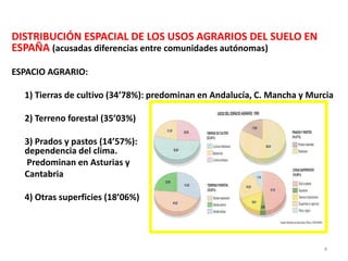 DISTRIBUCIÓN ESPACIAL DE LOS USOS AGRARIOS DEL SUELO EN
ESPAÑA (acusadas diferencias entre comunidades autónomas)
ESPACIO ...