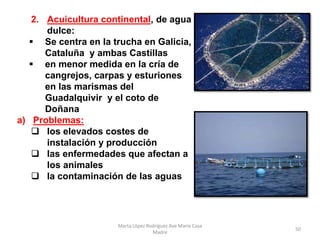 2. Acuicultura continental, de agua
dulce:
 Se centra en la trucha en Galicia,
Cataluña y ambas Castillas
 en menor medi...
