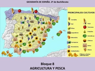Bloque 8
AGRICULTURA Y PESCA
GEOGRAFÍA DE ESPAÑA. 2º de Bachillerato
 