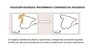 La orogenia Caledoniana afecta a la península, emergiendo una banda arqueada
de NO a SE, pero fue arrasada por la erosión y cubierta por los mares paleozoicos
EVOLUCIÓN GEOLÓGICA: PRECÁMBRICO Y COMIENZOS DEL PALEOZOICO