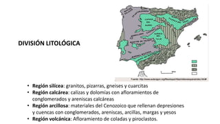 • Región silícea: granitos, pizarras, gneises y cuarcitas
• Región calcárea: calizas y dolomías con afloramientos de
conglomerados y areniscas calcáreas
• Región arcillosa: materiales del Cenozoico que rellenan depresiones
y cuencas con conglomerados, areniscas, arcillas, margas y yesos
• Región volcánica: Afloramiento de coladas y piroclastos.
DIVISIÓN LITOLÓGICA