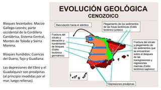 Bloques levantados: Macizo
Gallego-Leonés; parte
occidental de la Cordillera
Cantábrica, Sistema Central,
Montes de Toledo y Sierra
Morena.
Bloques hundidos: Cuencas
del Duero, Tajo y Guadiana.
Las depresiones del Ebro y el
Guadalquivir son prealpinas
(al principio invadidas por el
mar, luego rellenas).