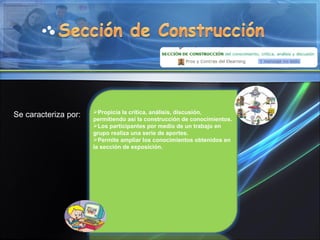 Propicia la crítica, análisis, discusión, permitiendo así la construcción de conocimientos. Los participantes por medio de un trabajo en grupo realiza una serie de aportes. Permite ampliar los conocimientos obtenidos en la sección de exposición. Se caracteriza por: 