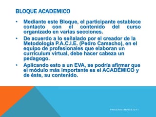 INTERACCIÓN: Social, de apoyo y aprendizaje colaborativoPhoenix/MPI052011