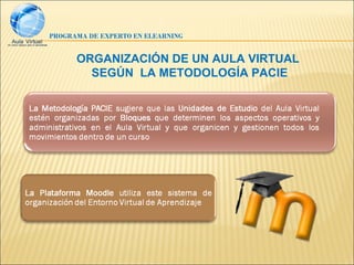 PROGRAMA DE EXPERTO EN ELEARNING


      ORGANIZACIÓN DE UN AULA VIRTUAL
        SEGÚN LA METODOLOGÍA PACIE
 