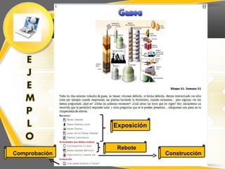 Exposición


                Rebote
Comprobación                Construcción
 