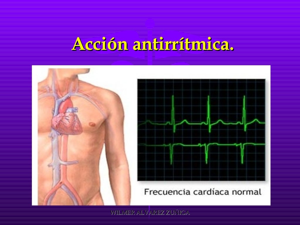 Bloqueadores Beta Adrenergicos 20 Bloqueadores Beta Adrenergicos 20