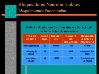 Bloqueadores Neuromusculares D espolarizantes: Succinilcolina Relação do número de dibucaína e a duração da ação da Sch e do mivacúrio Prolongada por 4 a 8 horas 20-30 1/3200 AA Homozigota atípica Aumentada 50 a 100% 50-60 1/480 UA Heterozigota atípica Normal 70-80 Normal UU Homozigota típica Resposta a Sch ou mivacúrio Número de dibucaína Incidência Genótipo Tipo da enzima 