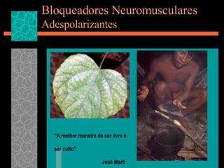 Bloqueadores Neuromusculares Adespolarizantes “ A melhor maneira de ser livre é ser culto”.   José Martí  